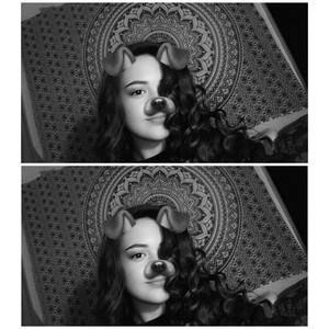 Meet your Posher, Annabel